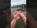 【痛みのない体を取り戻す！】たった30秒アレを押すだけで血流が劇的に変わる！？首こり・肩こり・眼精疲労のループをスマートに全滅させる神のセルフケア。