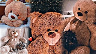 New Status | Status video | Bear status for Whatsapp | Sad Teddy Bear Whatsapp status