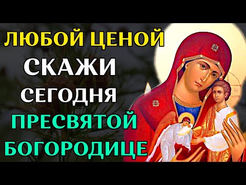 Икона Богородицы В Скорбех и Печалех Утешение. В чем помогает сильная молитва Богородице Православие