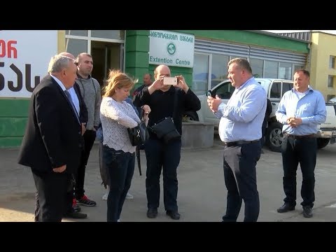 აზიურ ფაროსანასთან ბრძოლაში საქართველოს გამოცდილება მნიშვნელოვანია