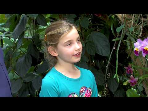 Video: Warum Riechen Blumen