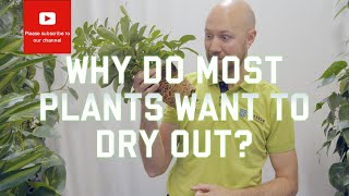 Why do most plants want to dry out?