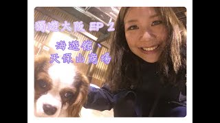 【VLOG】獨遊大阪EP 2 海遊館天保山商場商場內有羊駝？