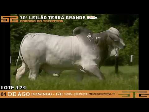 LOTE 124