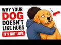 Why Your Dog Doesn't Like Hugs (The Science Will Surprise You)
