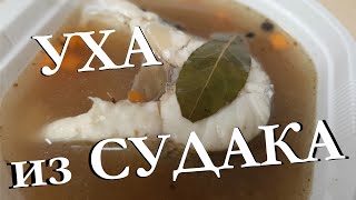 УХА ИЗ СУДАКА. Рыбный день в гараже.