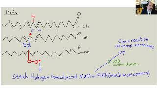 Alcohol, oil, Asian dementia, lipid peroxidation, Dr Yamashima, how to avoid?
