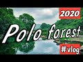 Polo forest vlog 2020  tourcam 