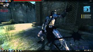 Vindictus - Carrying Glitch