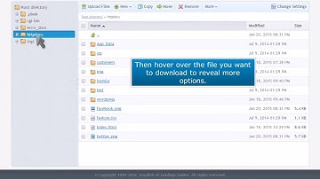 5) How to download files with Plesk File Manager by Gecko Websites