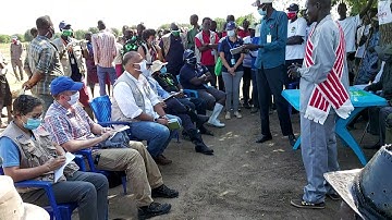 monitoring  assistant