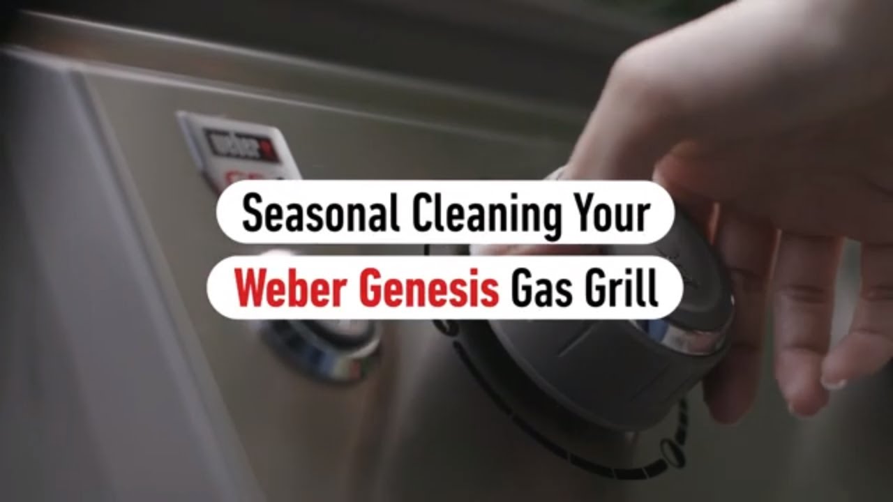 Weber Exterior Grill Cleaner Review 