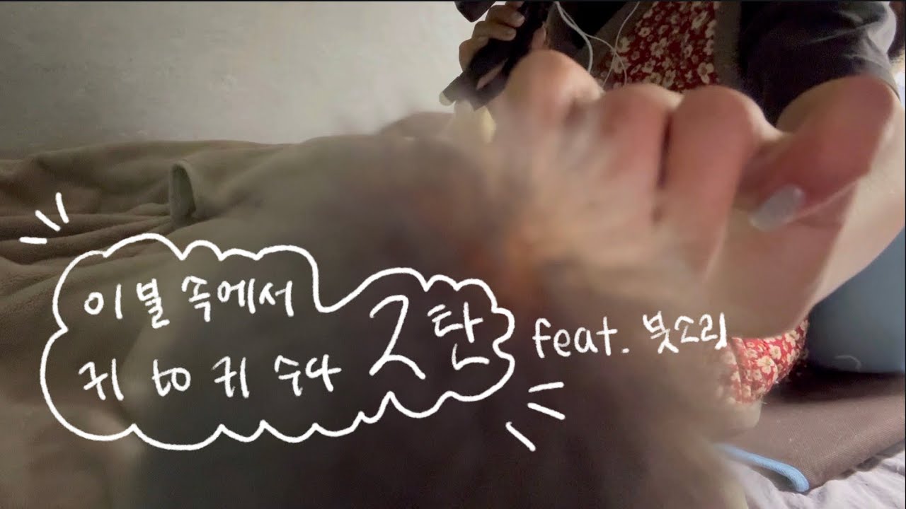 ASMR | 우리 오늘 수다 떨다가 같이 잘까요? 2탄 | feat. 붓소리 