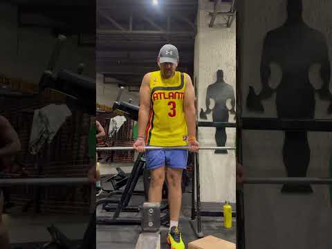 Traps #shorts #shortvideo