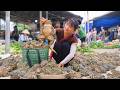 [TIMELAPSE] -- 479 Days Harvesting A Lot Of Frog, Fish, turtle Go To Village Market Sell
