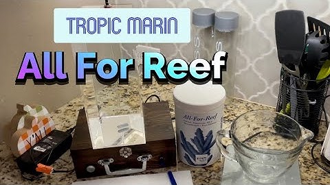 Tropic marin all for reef review năm 2024