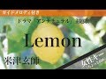 【女性キー(+6)】Lemon / 米津玄師【ピアノカラオケ・ガイドメロディ付】ドラマ「アンナチュラル」主題歌