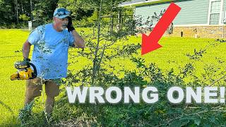 HOMEOWNER SENT A BAD TEXT AFTER THIS FREE JOB! Did I RUIN her yard?