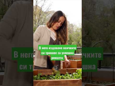 Видео: Съвети за отглеждане на слънчогледови растения за храна