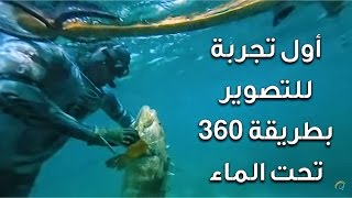 هامور السلع أول تصوير360 خليجي تحت الماء .. عيش التجربة كأنك أحد أعضاء #هوانا_بحري و رايكم يهمنا