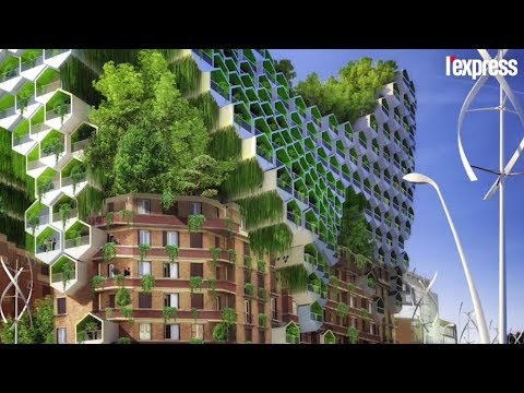 Vidéo: Architecture Végétale