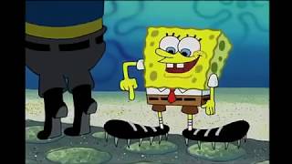 Cleats?