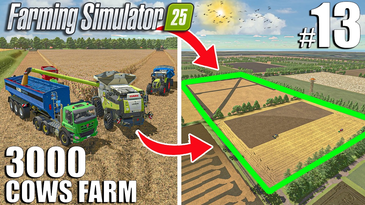 BUYING & HARVESTING NEW BiG FIELDS | The 3000 Cows Farm #13 - Farming Simulator 25