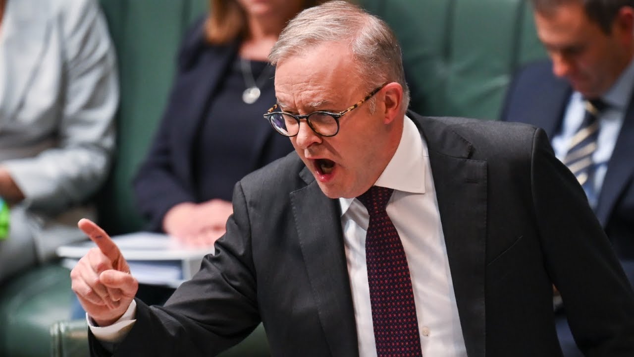 Labor’s soft immigration stance shows ‘they just don’t love Australia enough’