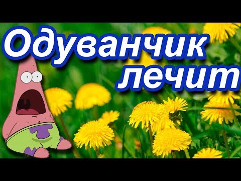 Доктор Одуванчик!  настойки, отвары для лечения