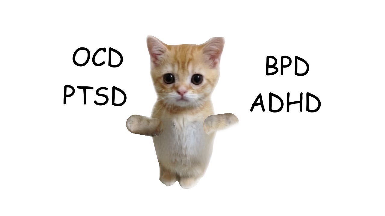 All mental illnesses explained by cats