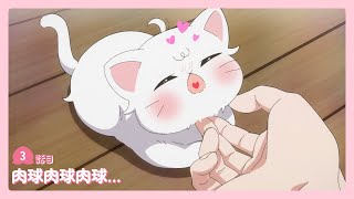 本つげ2本桃1本【椿様オーダー】雀と伏籠 柴犬と肉球 トラ猫＆桜の花 アニメ『新しい上司はど天然』WEB予告│3話目「肉球肉球肉球…」 - YouTube