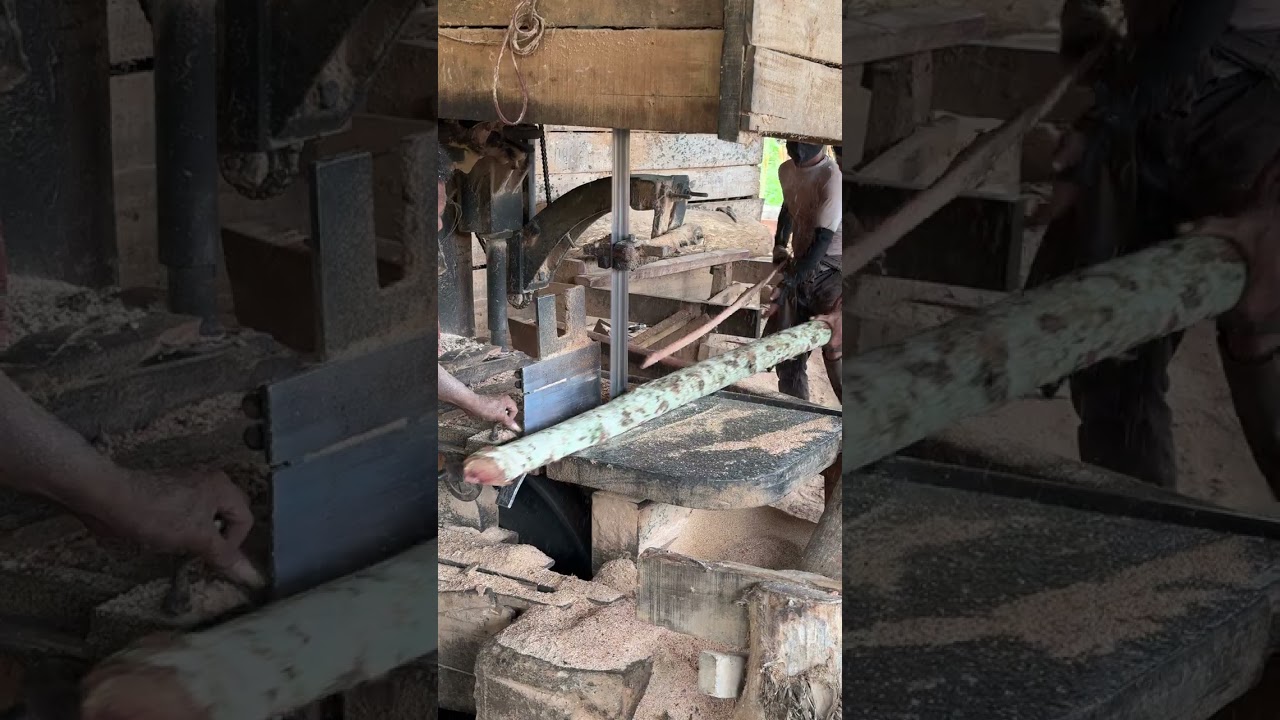 Achieving Precision: From Log to Lumber with Expert Sawmill Operators 