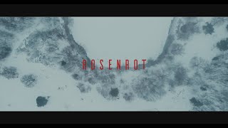 картинка: Rammstein - Rosenrot (cello cover / кавер виолончель)