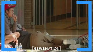 Is more funding enough to combat the migrant crisis? | Morning in America