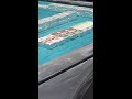 第2回チーズ麻雀選手権 #shorts