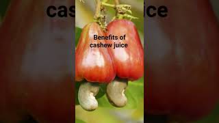 Cashew juice and there health benefits