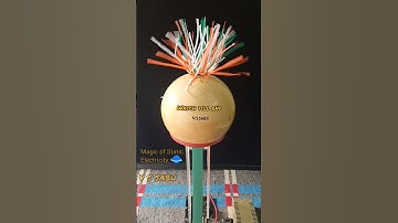 Van de Graff Generator #shorts#tech#static electricity🔥