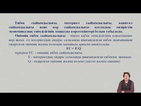 Абдикеримова Г И  Кәсіпорын экономикасы  Кәсіпорынның экономикалық тиімділігі