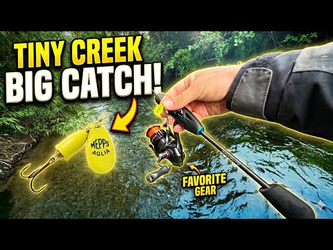 Will This BRIGHT YELLOW Mepps Aglia Catch TROUT? Let's Find Out!