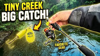 Will This BRIGHT YELLOW Mepps Aglia Catch TROUT? Let's Find Out!