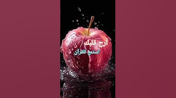 #تلاوات #القرآن_الكريم #قرآن #quran #المنشاوي #المنشاوي_الباكي #تلاوة_خاشعة #تلاوة_هادئة