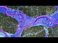 Water and Weather Report Quiz