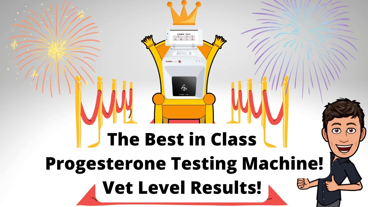 The Best In Class Progesterone Machine Vet Level Results| The Cube Vet