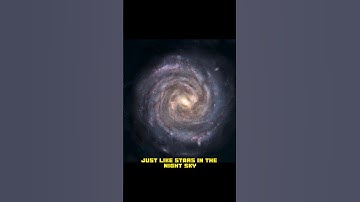 Journey into Brain Neurons The Key to Limitless Potential