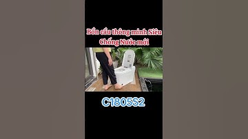 Vẫn cứ là chân ái BCTM Nikko C1805S2 #cuocsong #cuocsongthuongngay #boncau #tintuc  #toilet
