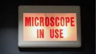 A Closer Look: Texas A&M's Microscopy & Imaging Center