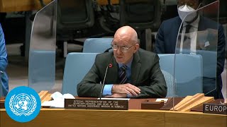 The situation in Somalia - UN Security Council Briefing The situation in Somalia - UN Security Council Briefing