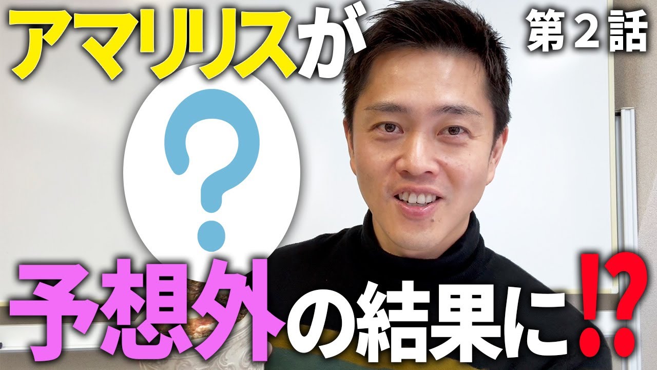 【2025年初投稿】年末に植えたアマリリス、こうなりました！