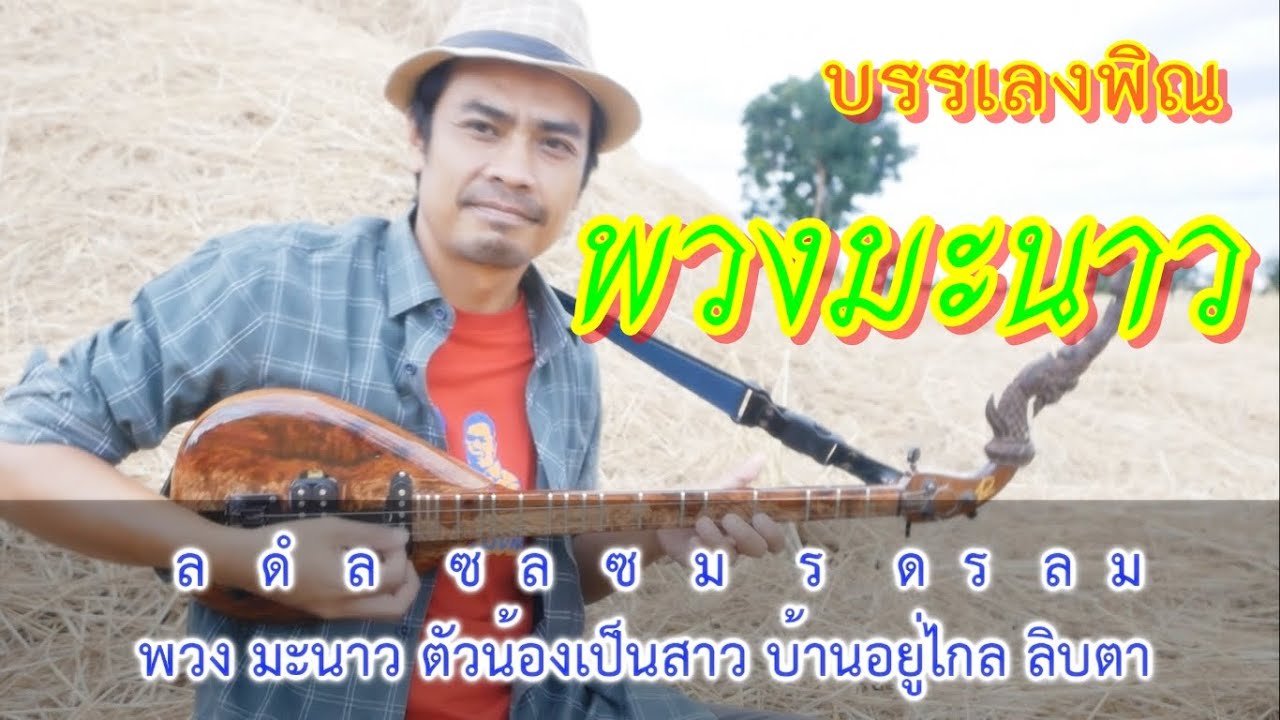 บรรเลงพิณพร้อมโน้ตเพลง - พวงมะนาว ( รำวงชาวบ้าน) / สายแนนสตูดิโอ