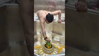 👑 Baba Garib Nath Ki Kripa | Epic Devotional Visual #shorts #mahadev #garibnathmandir